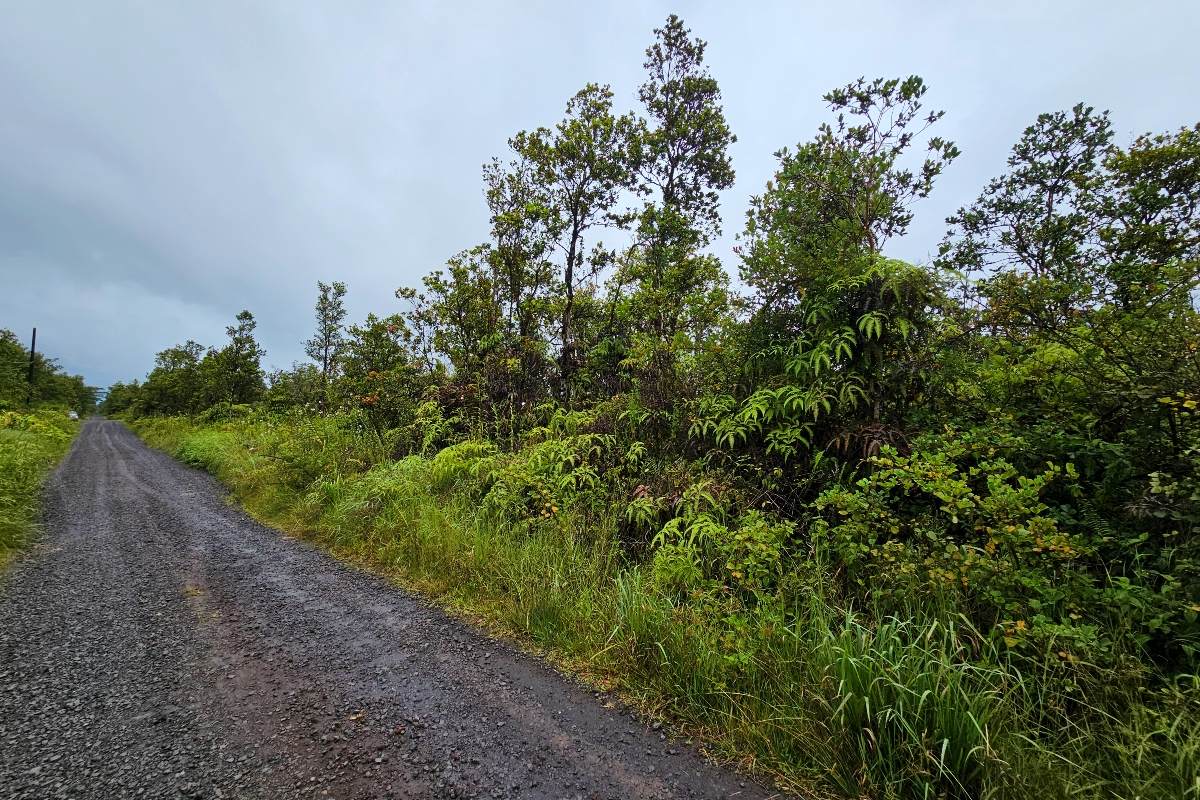 https://bt-photos.global.ssl.fastly.net/hawaii/orig_boomver_1_723495-1.jpg