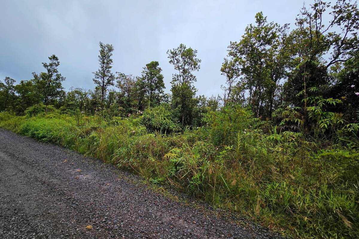 https://bt-photos.global.ssl.fastly.net/hawaii/orig_boomver_1_723495-1.jpg
