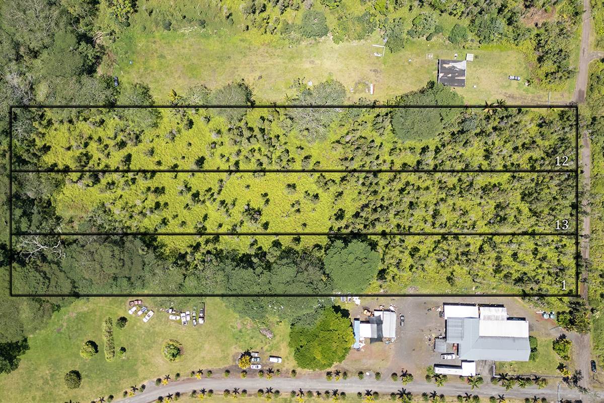  Nanawale Farms Rd - Photo 1