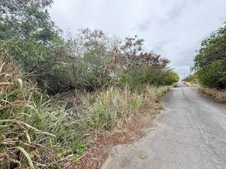  Mark Twain St - Photo 1