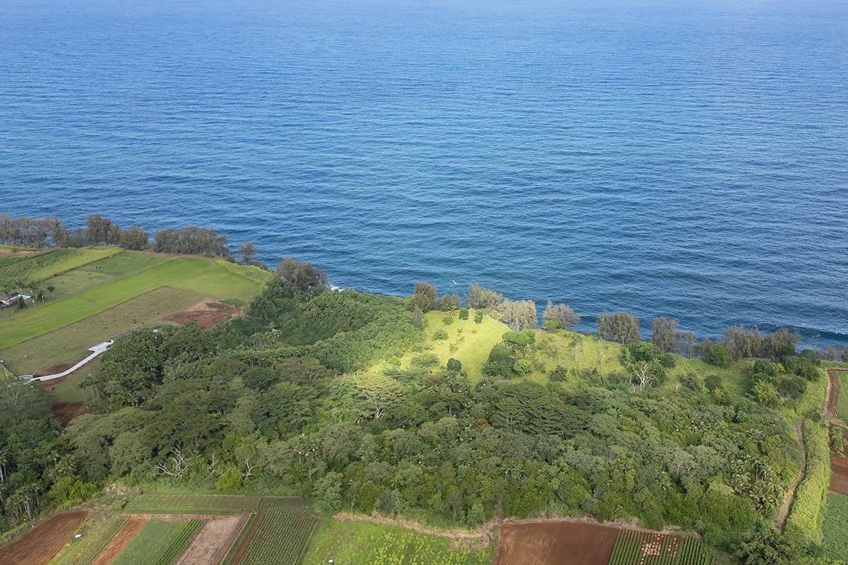 28-110 Kulaimano Homestead Road - Photo 1