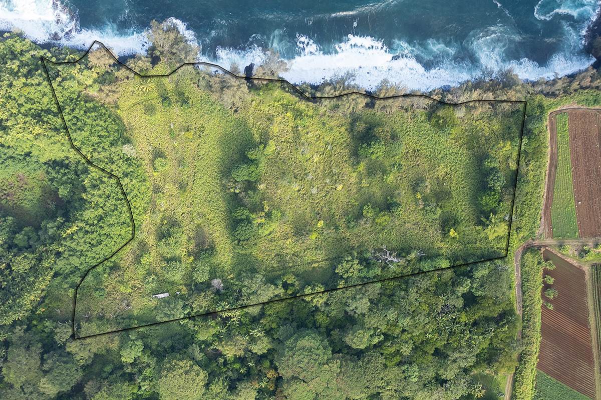 https://bt-photos.global.ssl.fastly.net/hawaii/orig_boomver_1_723898-1.jpg