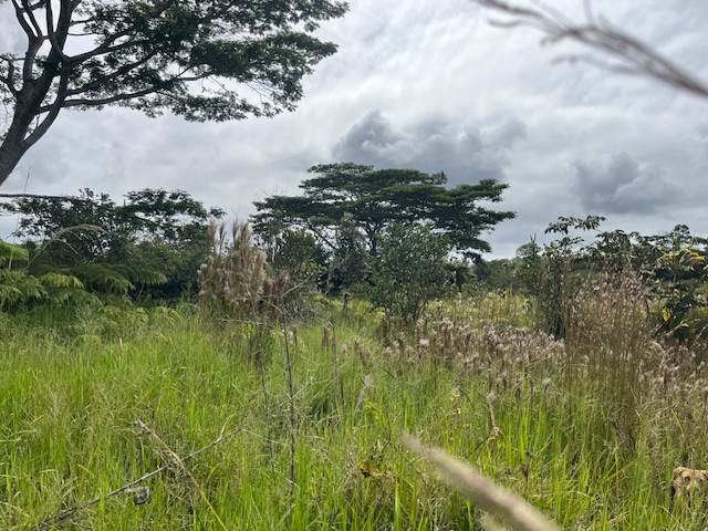 https://bt-photos.global.ssl.fastly.net/hawaii/orig_boomver_1_724184-1.jpg