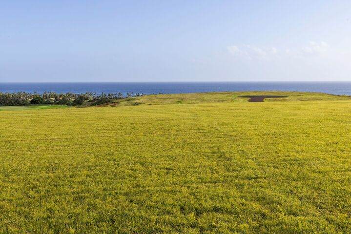 31 Halia Mai Pl - Photo 1