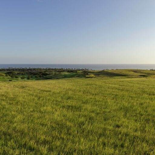  Halia Mai Pl - Photo 1