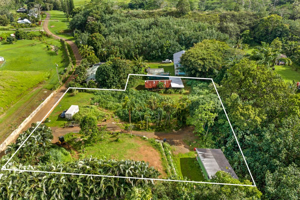 6631-A Kipapa Rd - Photo 1