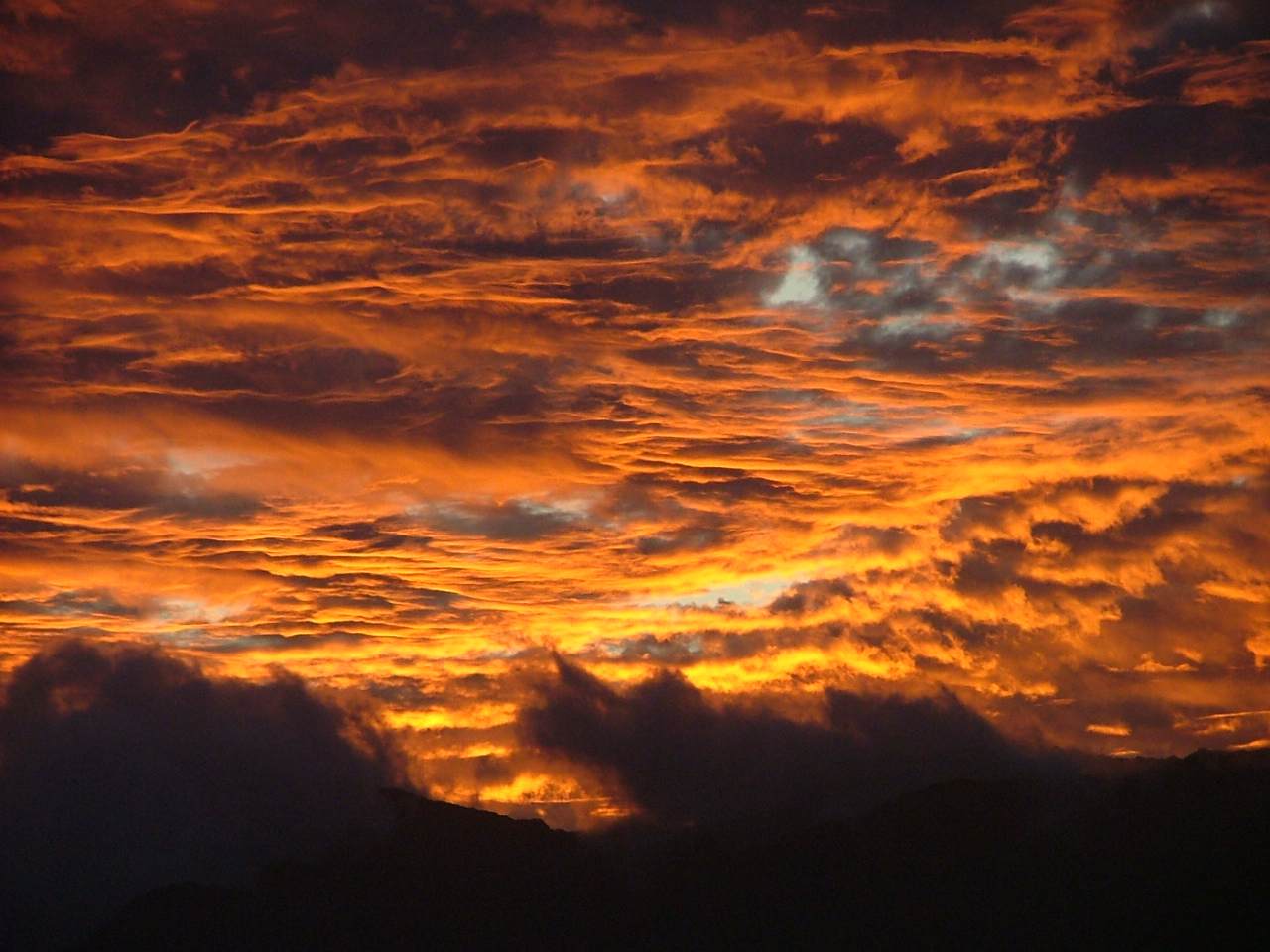 4460 Nehe Rd - Photo 1