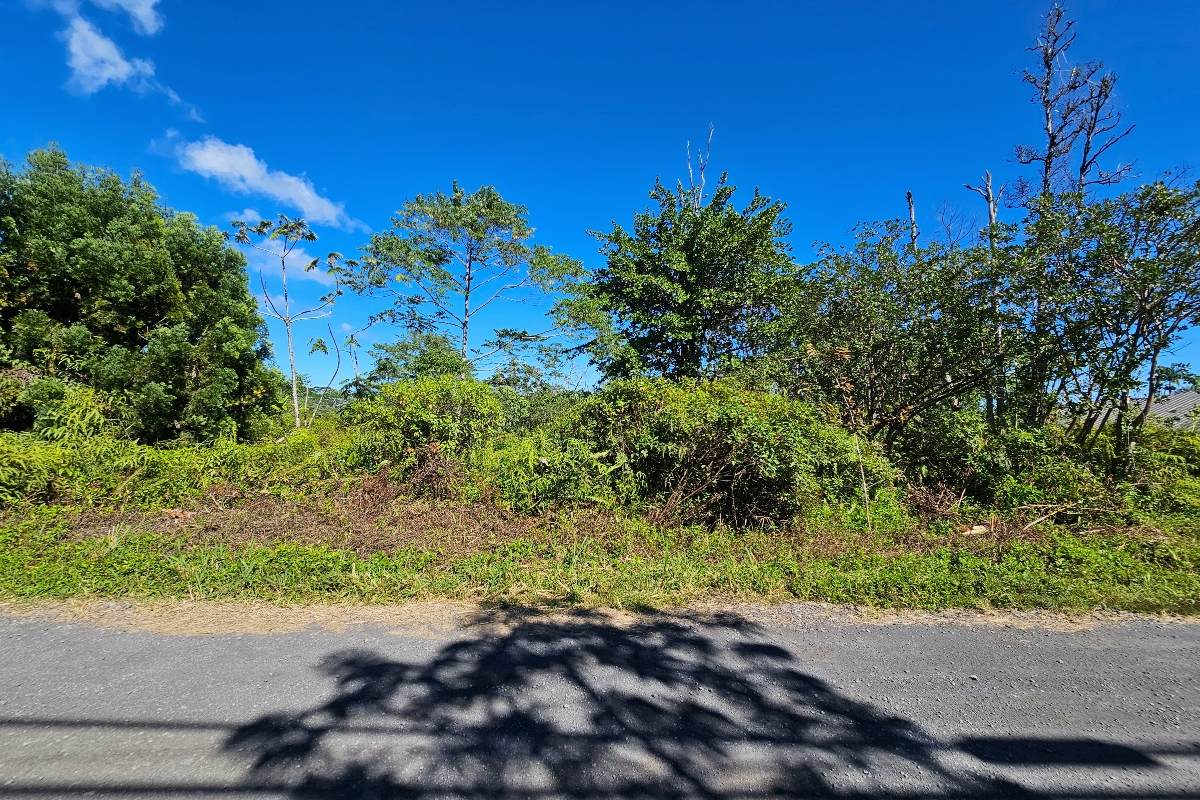  37TH AVE - Photo 1
