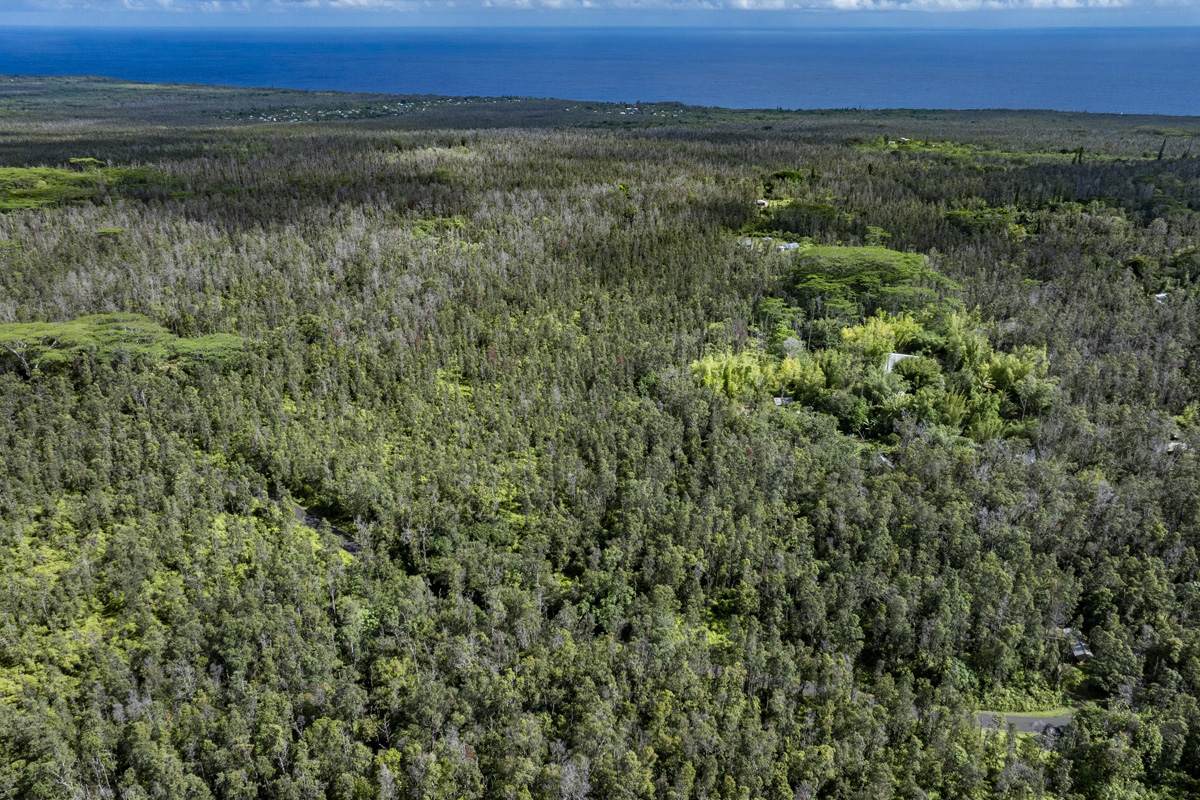 12-4235 Upper Puna Road - Photo 1