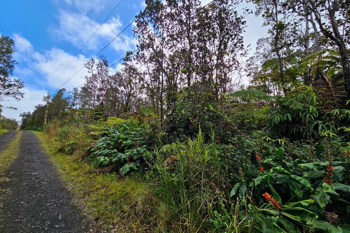 https://bt-photos.global.ssl.fastly.net/hawaii/orig_boomver_1_725645-1.jpg