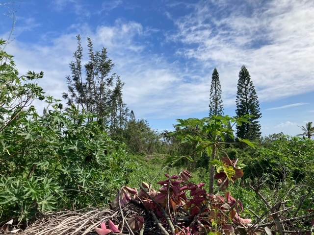  Kaulua Circle - Photo 1