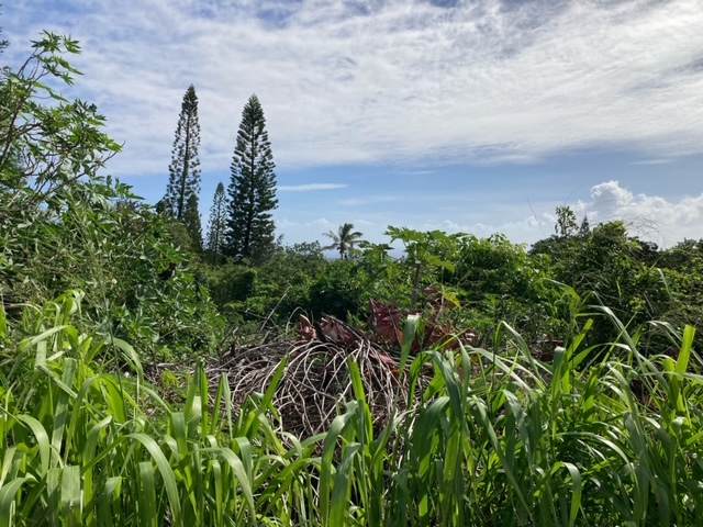 https://bt-photos.global.ssl.fastly.net/hawaii/orig_boomver_1_725934-1.jpg