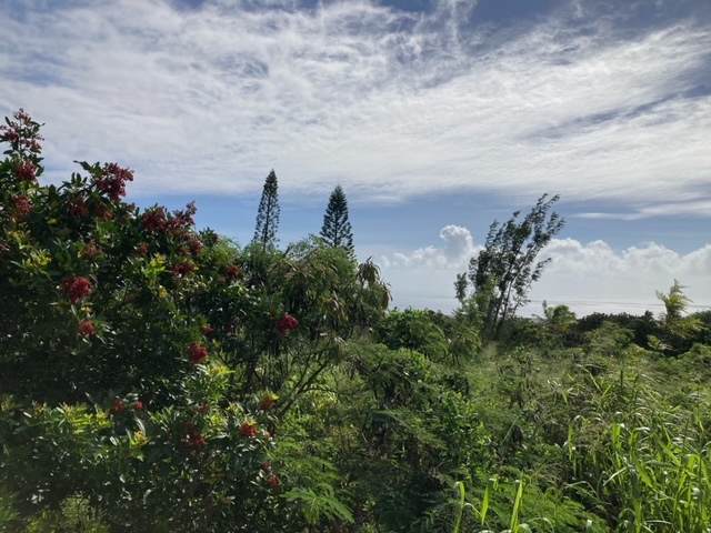 https://bt-photos.global.ssl.fastly.net/hawaii/orig_boomver_1_725934-1.jpg