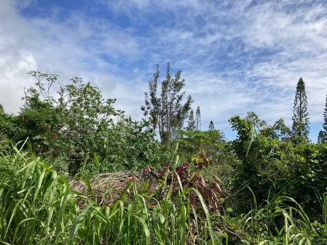 https://bt-photos.global.ssl.fastly.net/hawaii/orig_boomver_1_725934-1.jpg