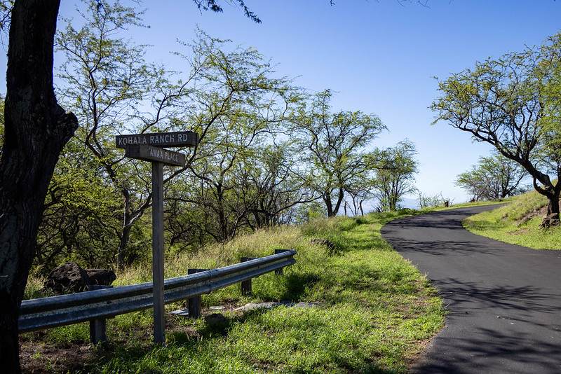 59-584 Awaa Pl - Photo 1