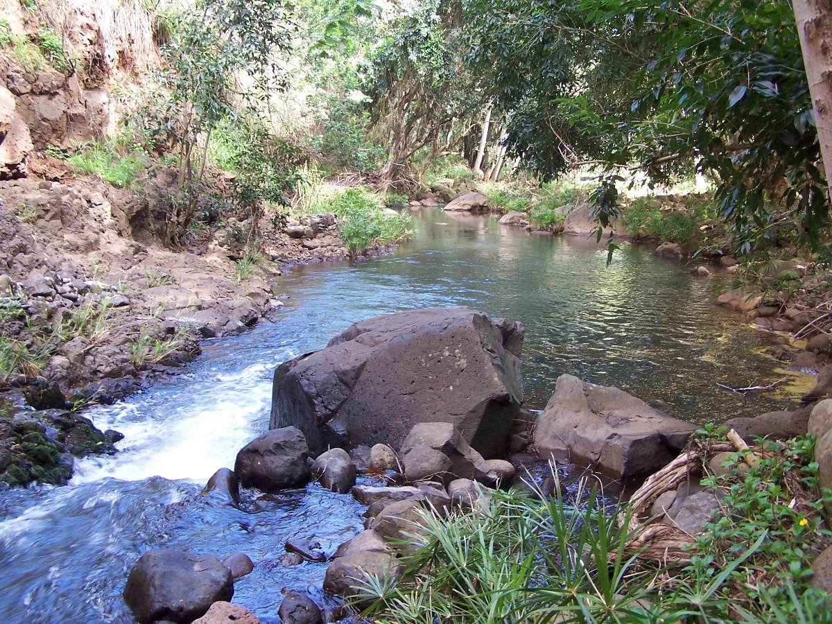 201 Anahola Valley Rd - Photo 1