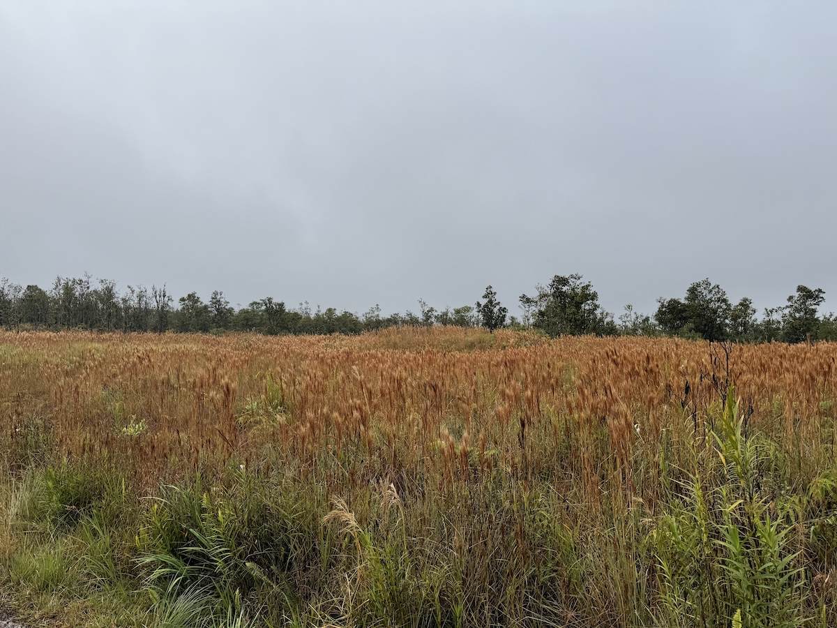  Ohialani Rd - Photo 1