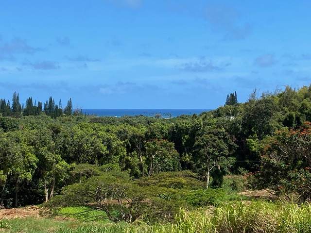  Kanaele Rd - Photo 1