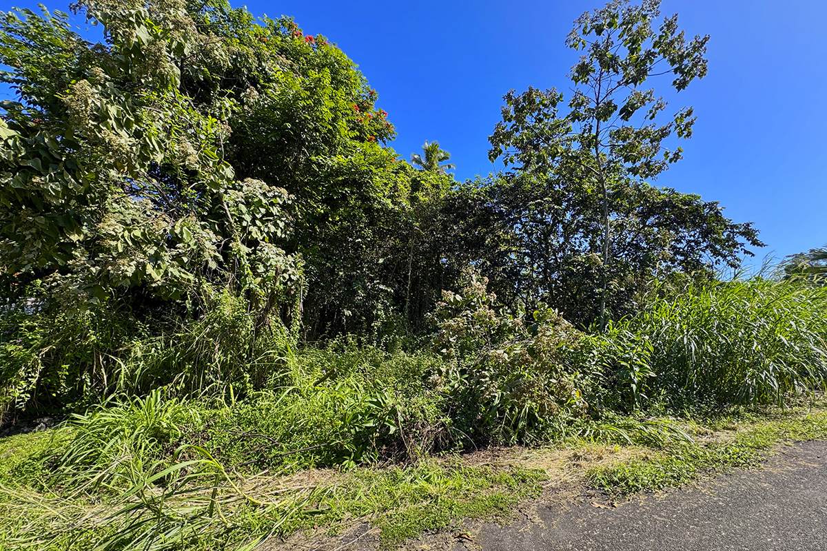 https://bt-photos.global.ssl.fastly.net/hawaii/orig_boomver_1_727016-1.jpg