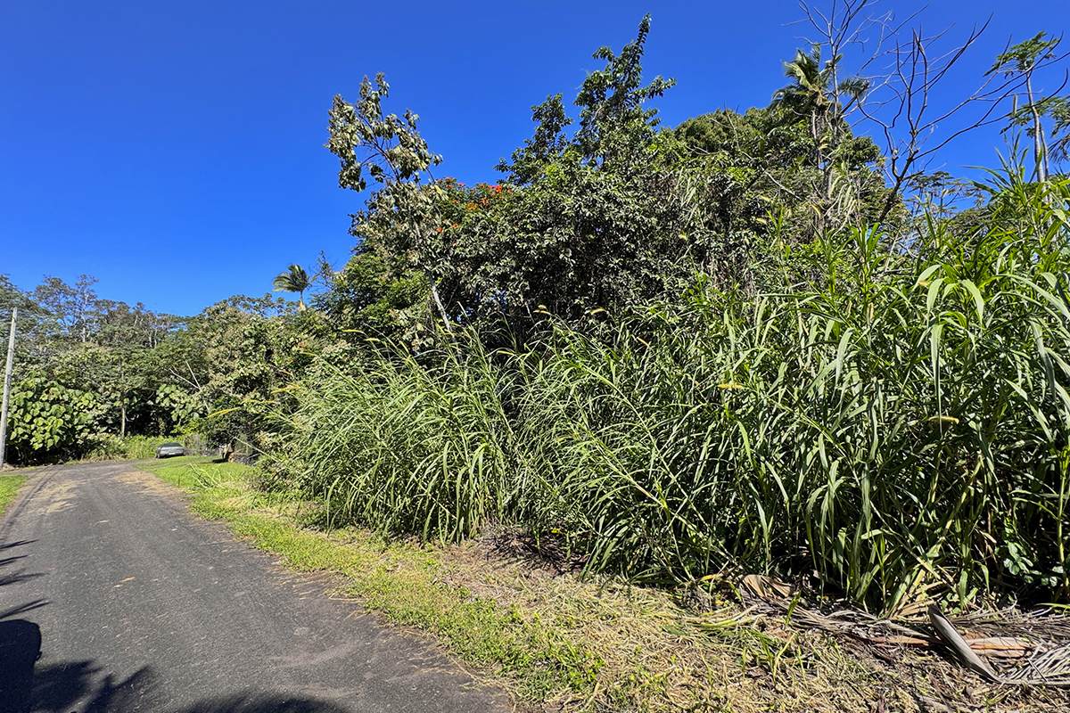 https://bt-photos.global.ssl.fastly.net/hawaii/orig_boomver_1_727016-1.jpg