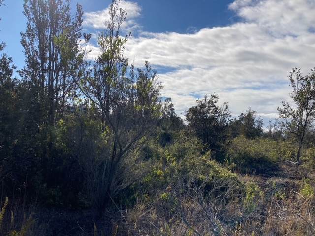 92-2120 Kona Drive - Photo 1