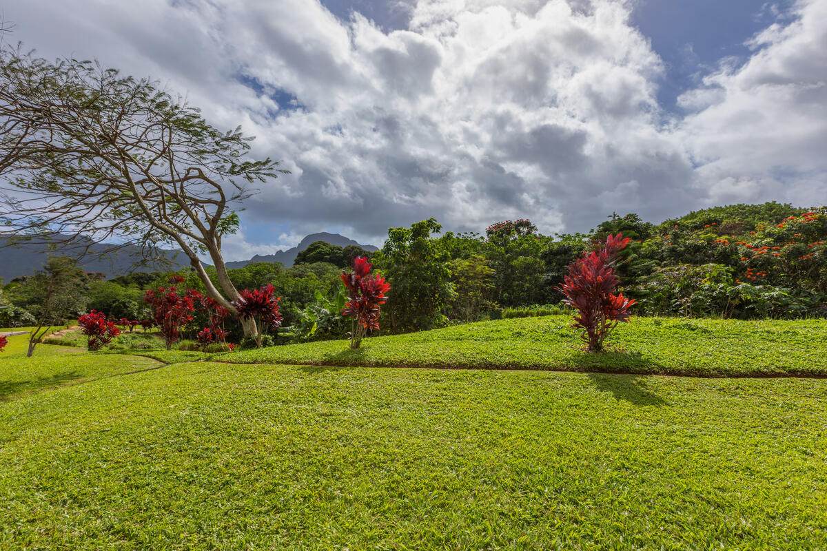 https://bt-photos.global.ssl.fastly.net/hawaii/orig_boomver_1_727183-1.jpg