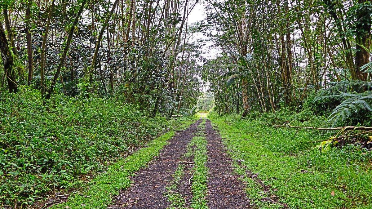 https://bt-photos.global.ssl.fastly.net/hawaii/orig_boomver_1_727361-1.jpg