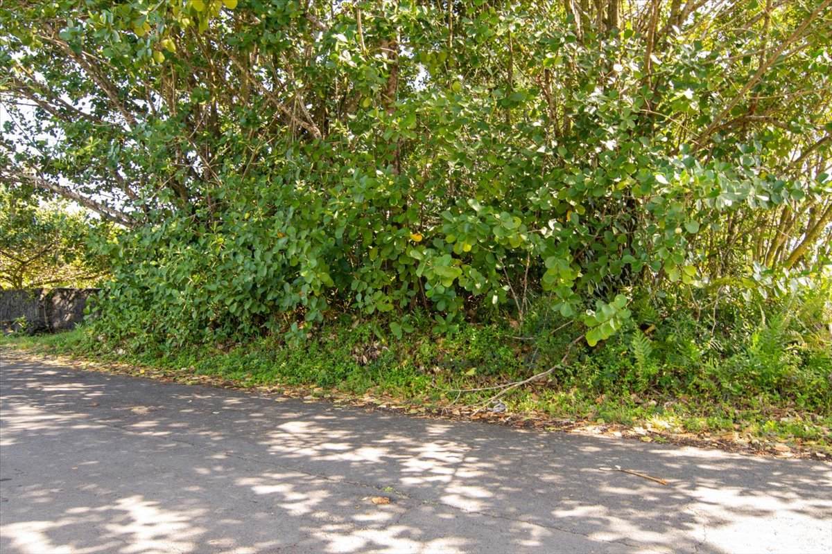 https://bt-photos.global.ssl.fastly.net/hawaii/orig_boomver_1_727489-1.jpg