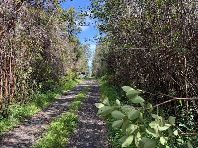 https://bt-photos.global.ssl.fastly.net/hawaii/orig_boomver_1_727674-1.jpg