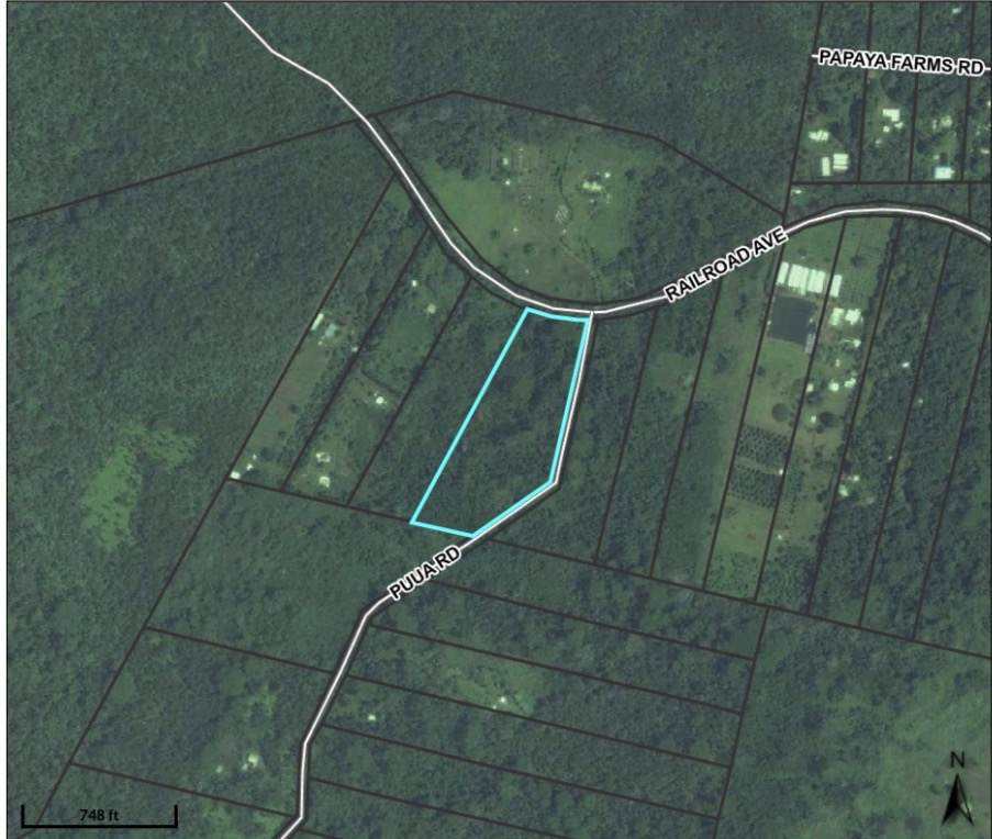  Puua Kapoho Rd - Photo 1