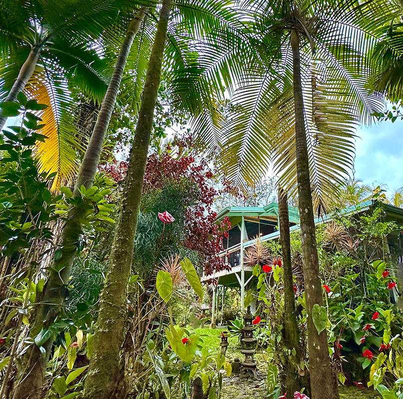 13-1291 Kahukai St - Photo 1