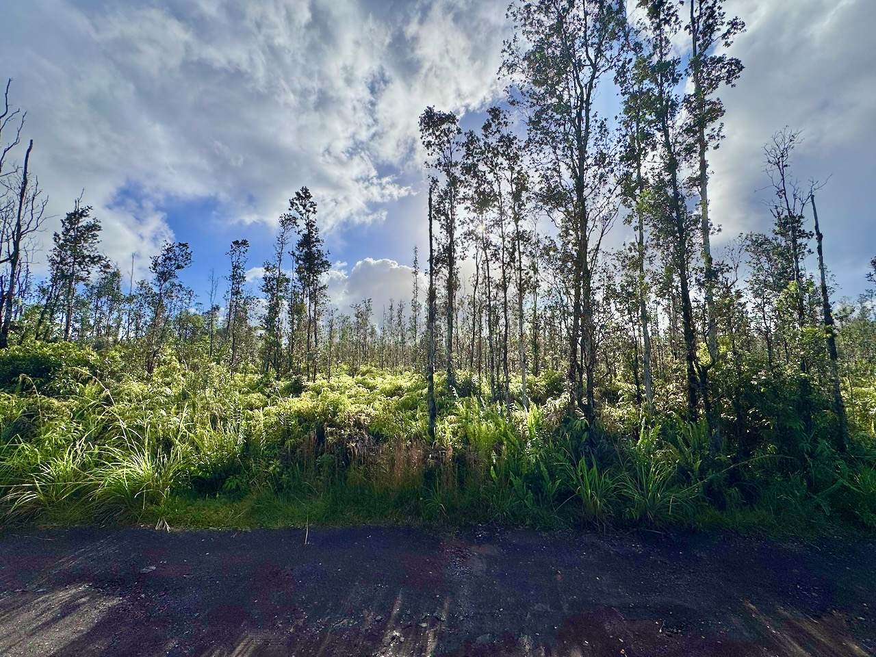  Road 7 (Opeapea) - Photo 1