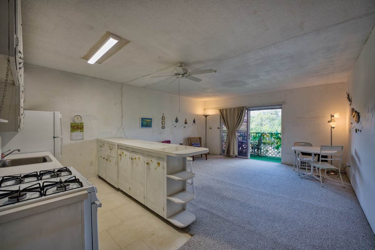 355 Orchid Manor - Photo 1