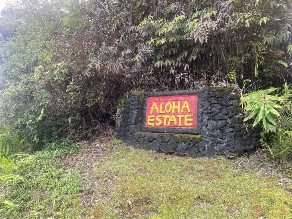 18-2039 Pua Street - Photo 1