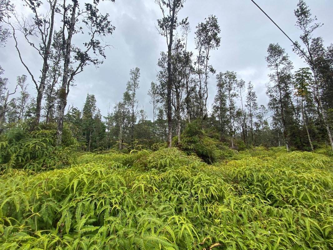  Molokai Rd - Photo 1