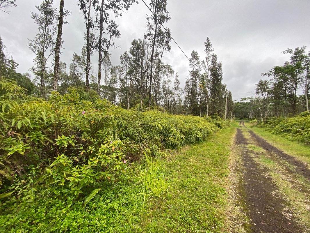 https://bt-photos.global.ssl.fastly.net/hawaii/orig_boomver_1_728775-1.jpg