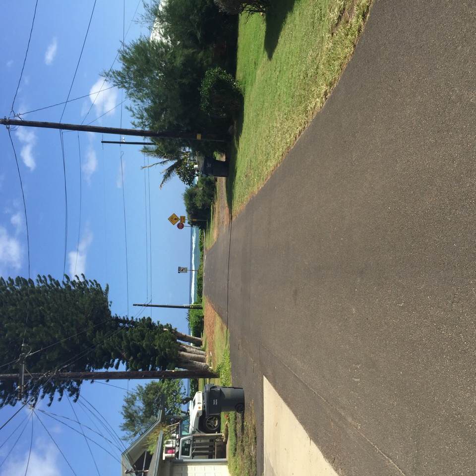 4463 Makaha Rd - Photo 1