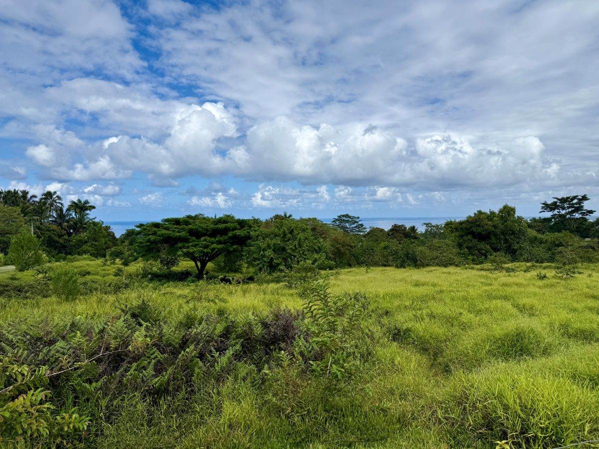 https://bt-photos.global.ssl.fastly.net/hawaii/orig_boomver_1_728965-1.jpg