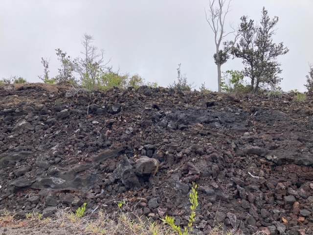 https://bt-photos.global.ssl.fastly.net/hawaii/orig_boomver_2_728969-6.jpg