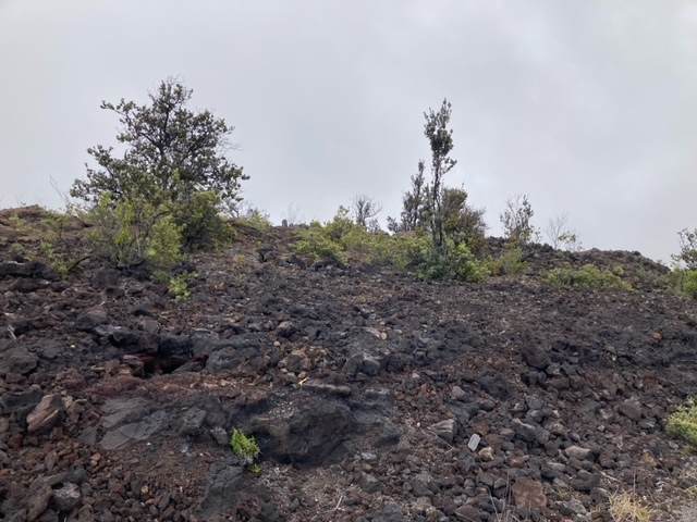 https://bt-photos.global.ssl.fastly.net/hawaii/orig_boomver_2_728969-6.jpg