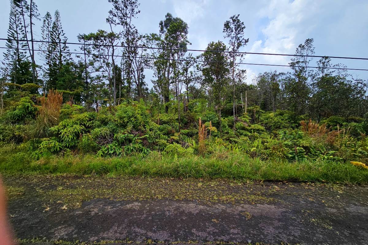 11-3011 Alii Kane St - Photo 1