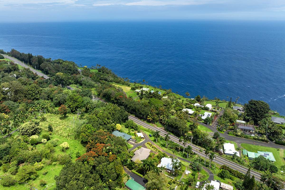 35-2049 Hawaii Belt Rd - Photo 1
