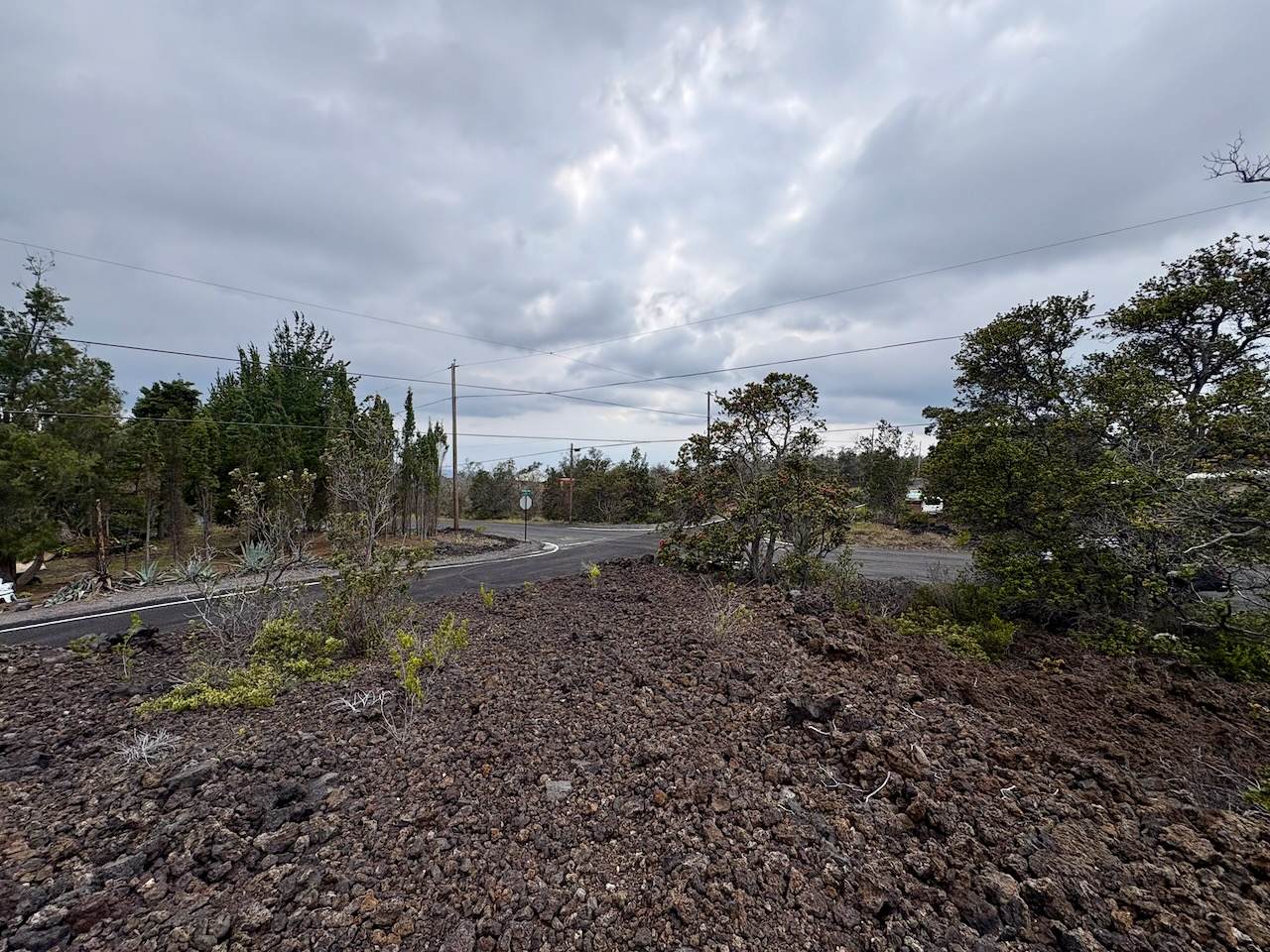  Coral Pkwy - Photo 1