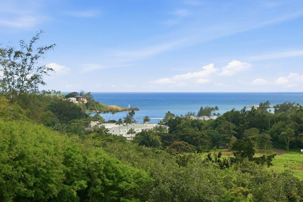 https://bt-photos.global.ssl.fastly.net/hawaii/orig_boomver_1_729120-1.jpg