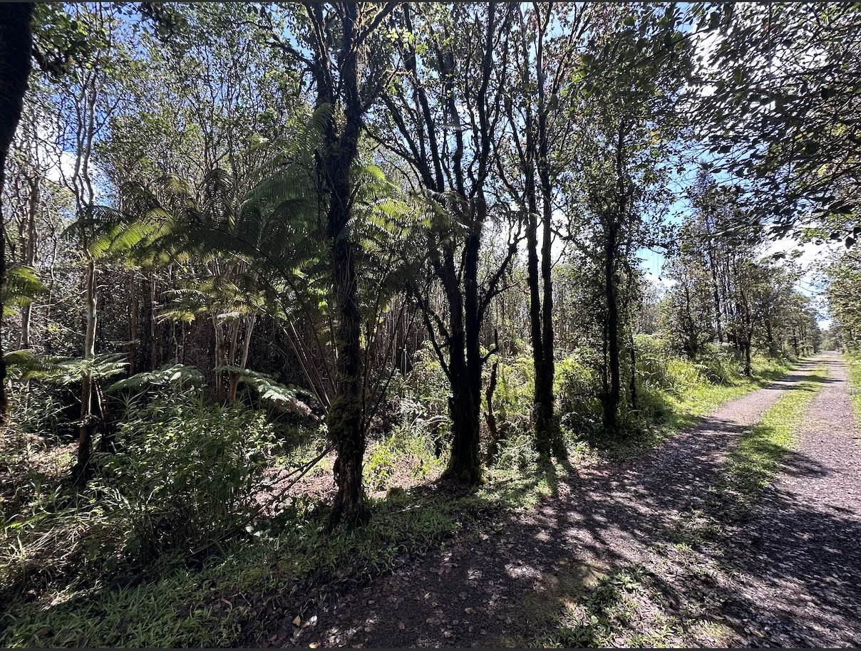  Road 11 - Photo 1