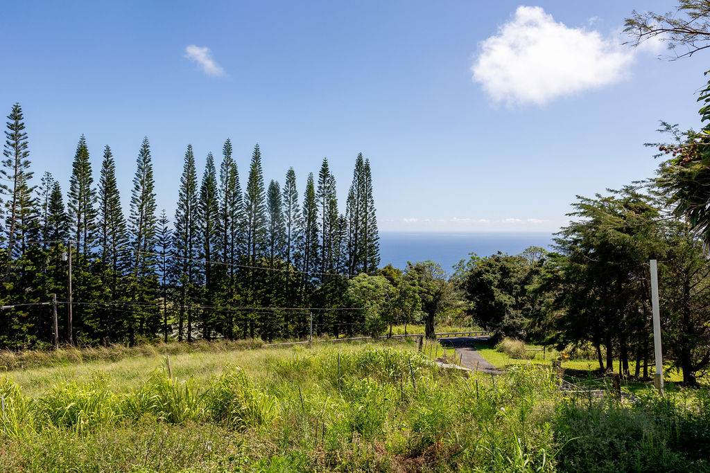 https://bt-photos.global.ssl.fastly.net/hawaii/orig_boomver_1_729189-1.jpg