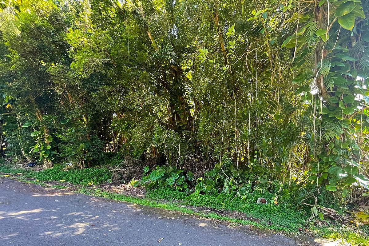 https://bt-photos.global.ssl.fastly.net/hawaii/orig_boomver_1_729446-8.jpg