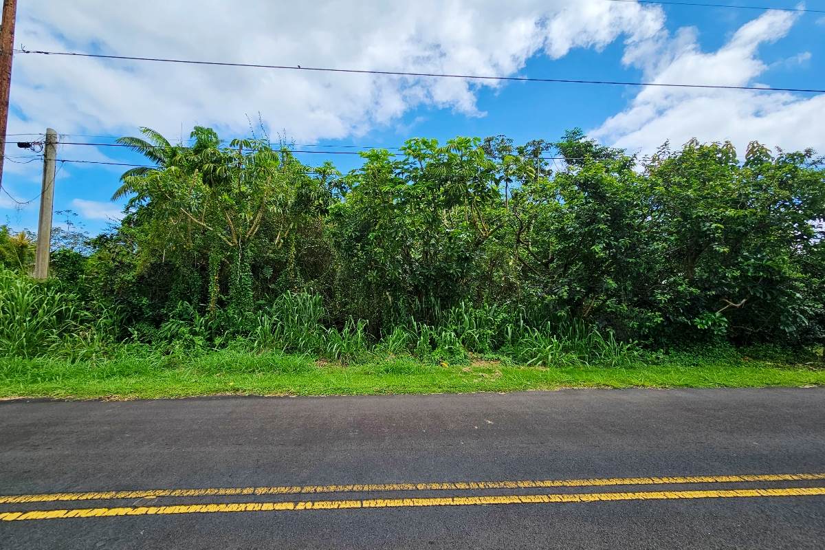  Kahala St - Photo 1