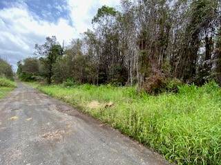 https://bt-photos.global.ssl.fastly.net/hawaii/orig_boomver_1_729722-1.jpg