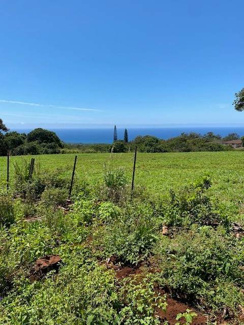 3961 Papalina Rd - Photo 1